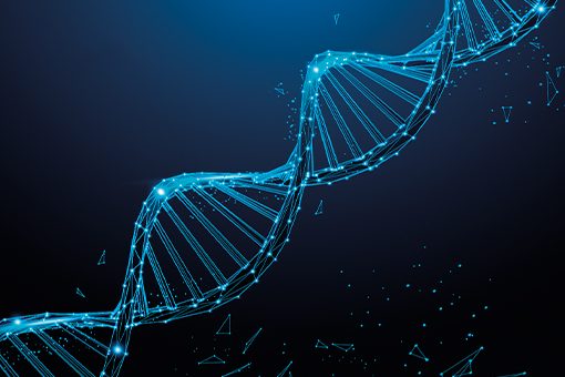 hladni-lanac-medicina-transport